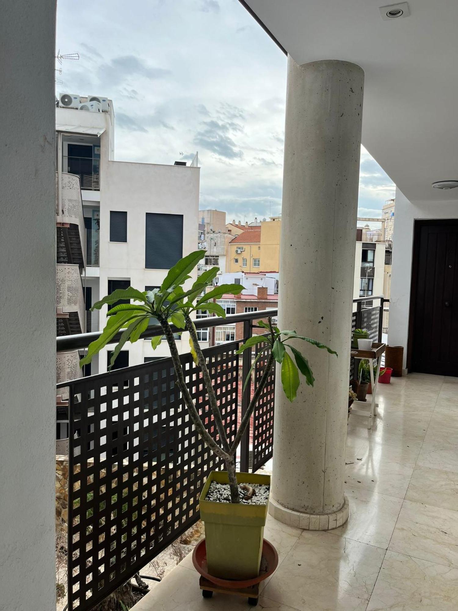 El Torcal Luxury Apartment With Free Parking Málaga Exteriör bild